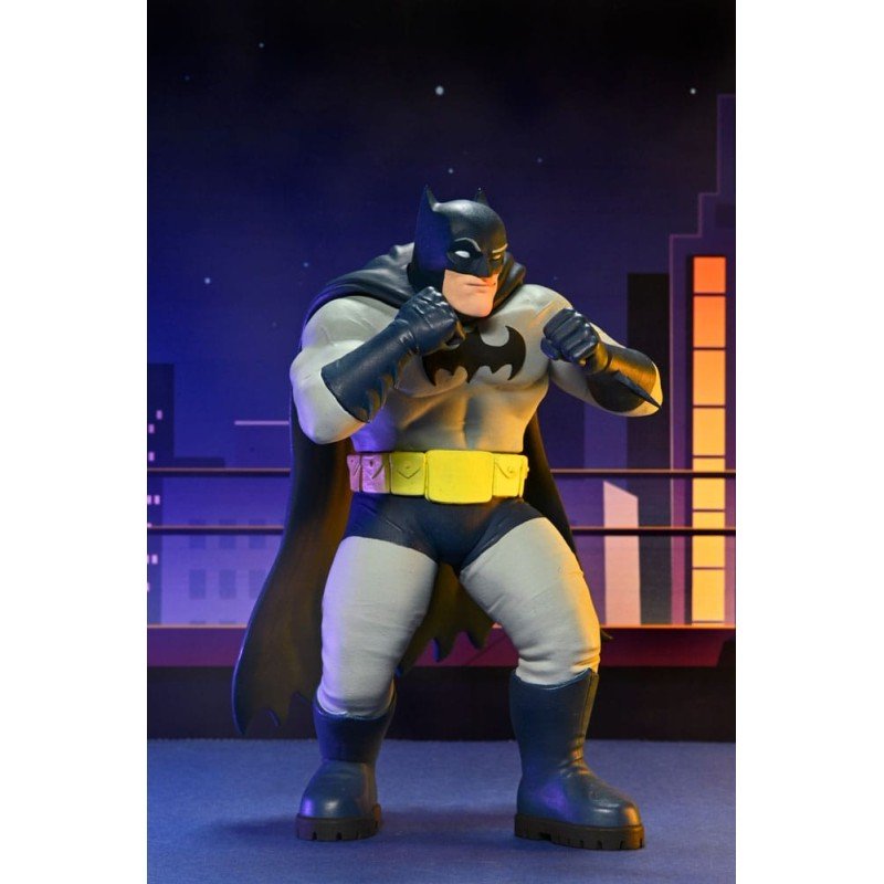 DC Comics assortiment figurines Series 2 15 cm (12) | 0634482616130