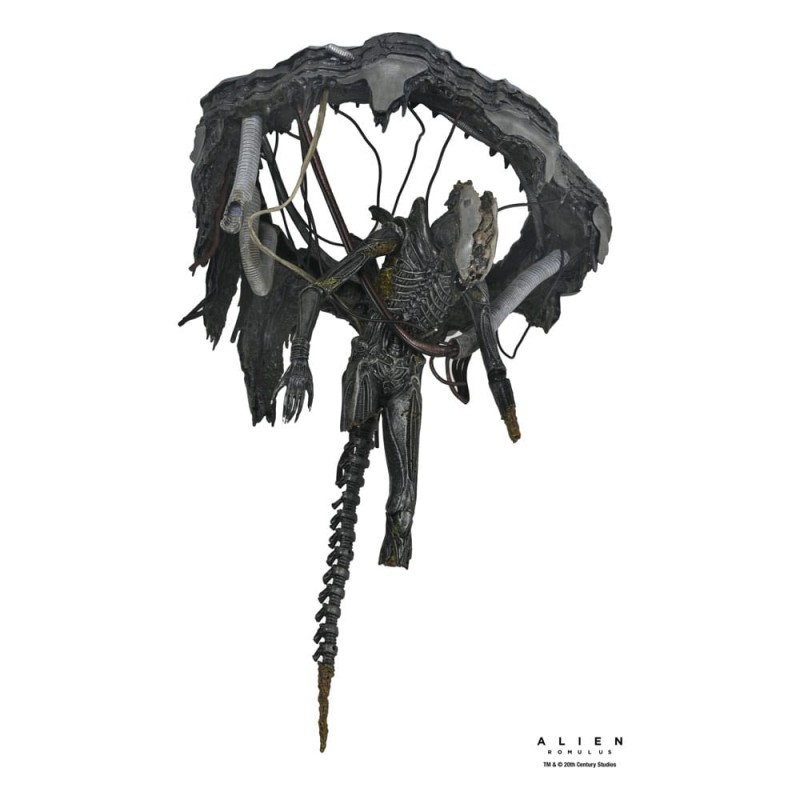 Alien: Romulus figurine Deluxe Suspended Lab Xenomorph XX121 18 cm | 0634482517437