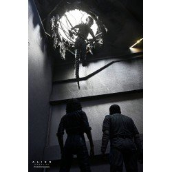 Alien: Romulus figurine Deluxe Suspended Lab Xenomorph XX121 18 cm | 0634482517437