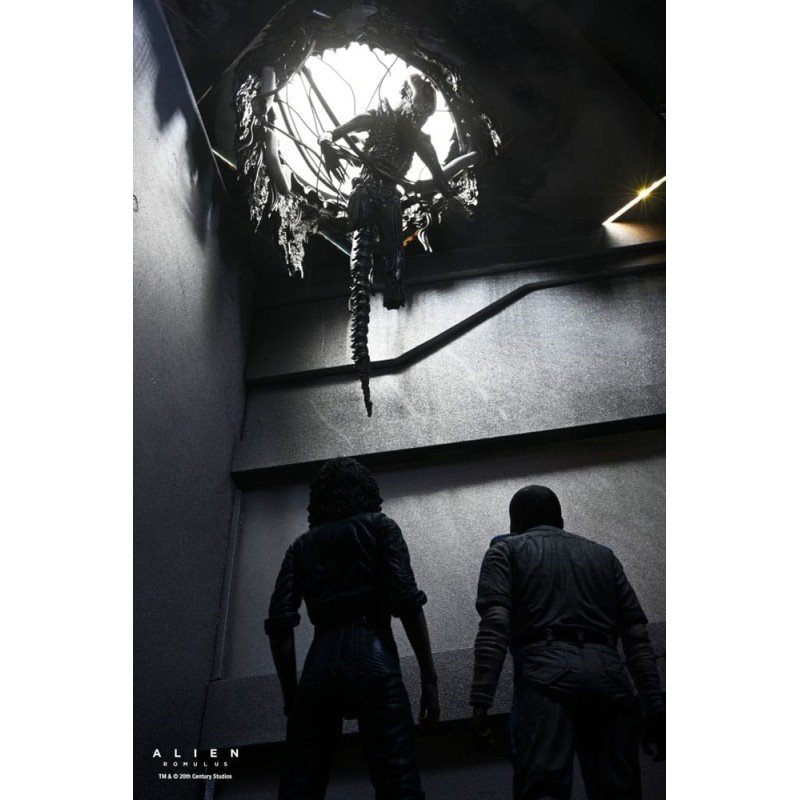 Alien: Romulus figurine Deluxe Suspended Lab Xenomorph XX121 18 cm | 0634482517437