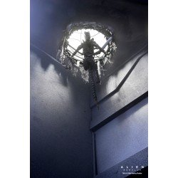Alien: Romulus figurine Deluxe Suspended Lab Xenomorph XX121 18 cm | 0634482517437