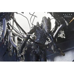 Alien: Romulus figurine Deluxe Suspended Lab Xenomorph XX121 18 cm | 0634482517437