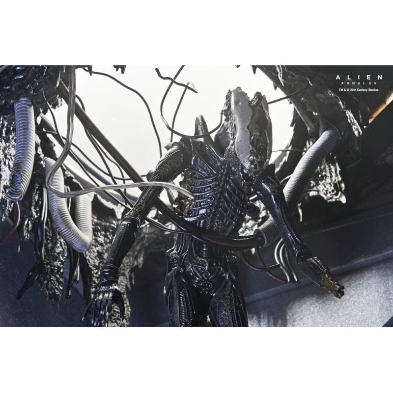 Alien: Romulus figurine Deluxe Suspended Lab Xenomorph XX121 18 cm | 0634482517437