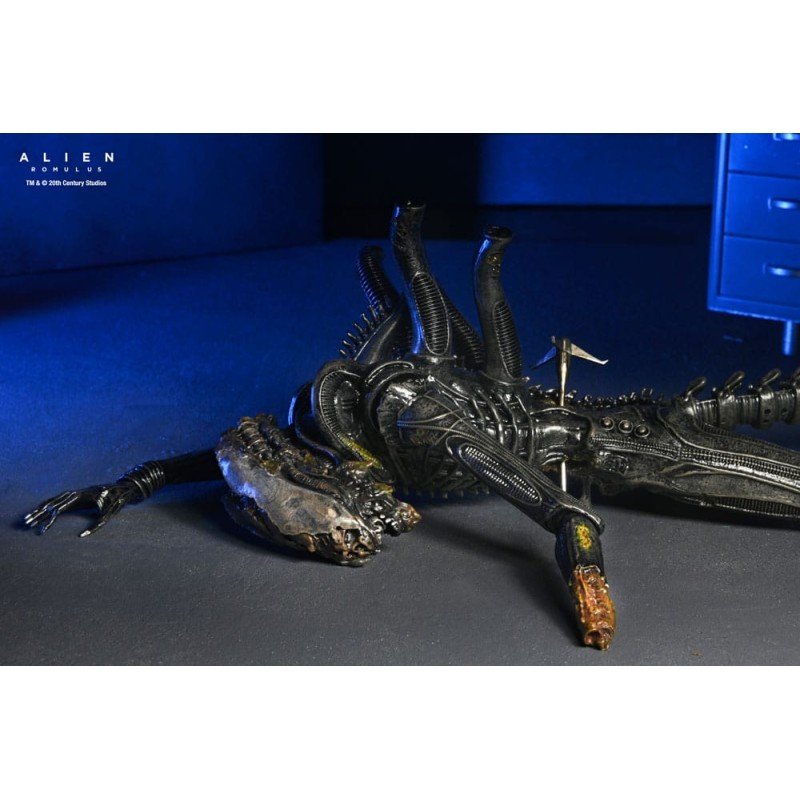 Alien: Romulus figurine Deluxe Suspended Lab Xenomorph XX121 18 cm | 0634482517437