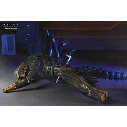 Alien: Romulus figurine Deluxe Suspended Lab Xenomorph XX121 18 cm | 0634482517437
