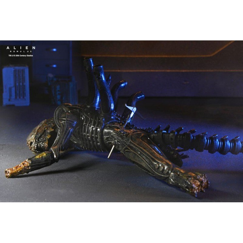 Alien: Romulus figurine Deluxe Suspended Lab Xenomorph XX121 18 cm | 0634482517437