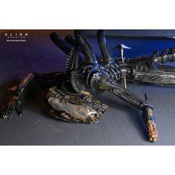 Alien: Romulus figurine Deluxe Suspended Lab Xenomorph XX121 18 cm | 0634482517437