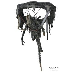 Alien: Romulus figurine Deluxe Suspended Lab Xenomorph XX121 18 cm | 0634482517437