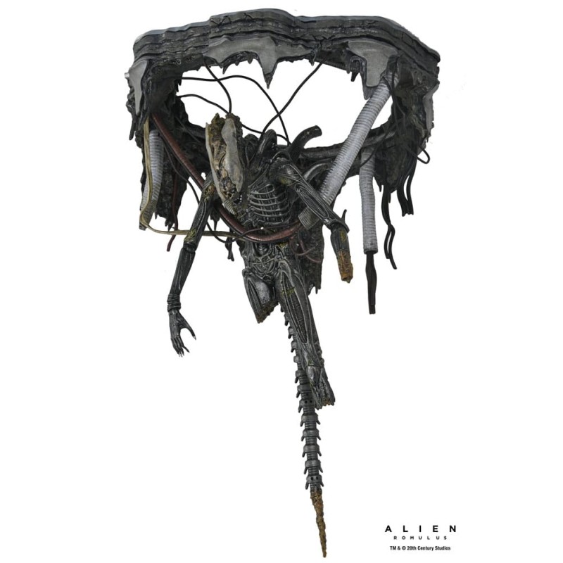 Alien: Romulus figurine Deluxe Suspended Lab Xenomorph XX121 18 cm | 0634482517437
