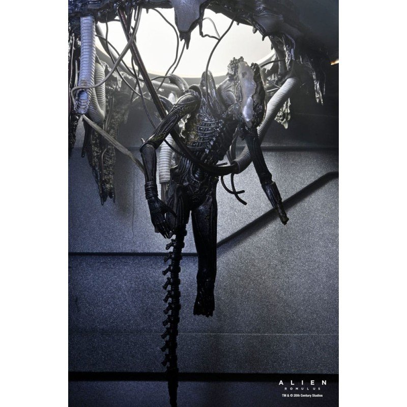 Alien: Romulus figurine Deluxe Suspended Lab Xenomorph XX121 18 cm | 0634482517437