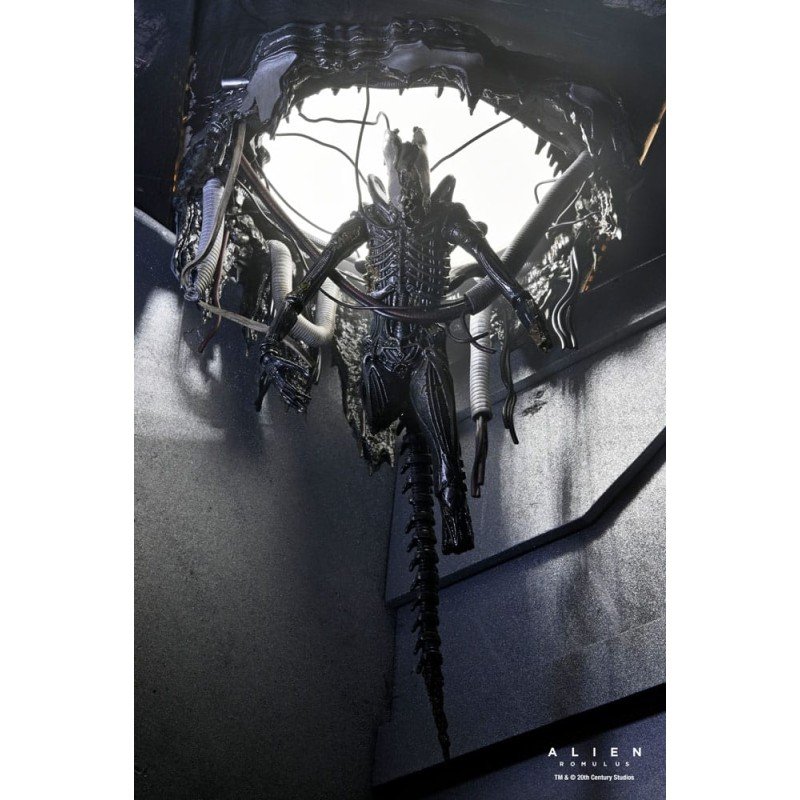 Alien: Romulus figurine Deluxe Suspended Lab Xenomorph XX121 18 cm | 0634482517437