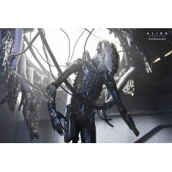Alien: Romulus figurine Deluxe Suspended Lab Xenomorph XX121 18 cm | 0634482517437