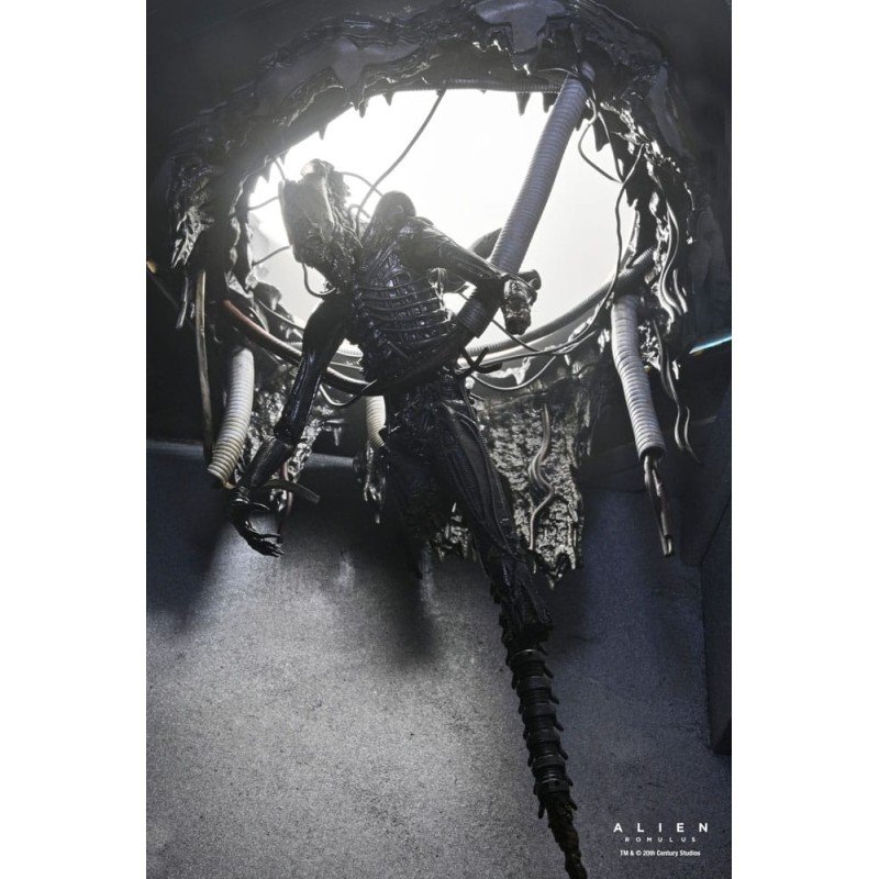 Alien: Romulus figurine Deluxe Suspended Lab Xenomorph XX121 18 cm | 0634482517437