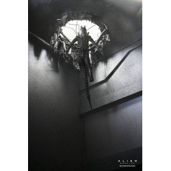 Alien: Romulus figurine Deluxe Suspended Lab Xenomorph XX121 18 cm | 0634482517437