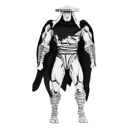 Teenage Mutant Ninja Turtles figurine Foot Assassin Black and White 18 cm | 0634482545423
