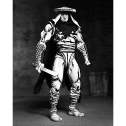 Teenage Mutant Ninja Turtles Action Figure Foot Assassin Black and White 18 cm | 0634482545423
