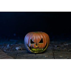 Halloween 6 : La Malédiction de Michael Myers figurine Ultimate Michael Myers 18 cm | 0634482606520