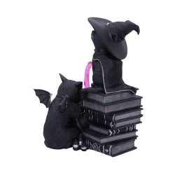 Cult Cuties figurine Curious Cauldron 18 cm | 0801269158651
