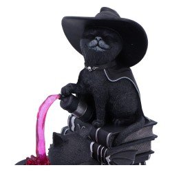 Cult Cuties figurine Curious Cauldron 18 cm | 0801269158651
