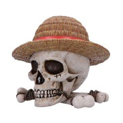 One Piece boîte de rangement Luffy Jolly Roger | 0801269158538