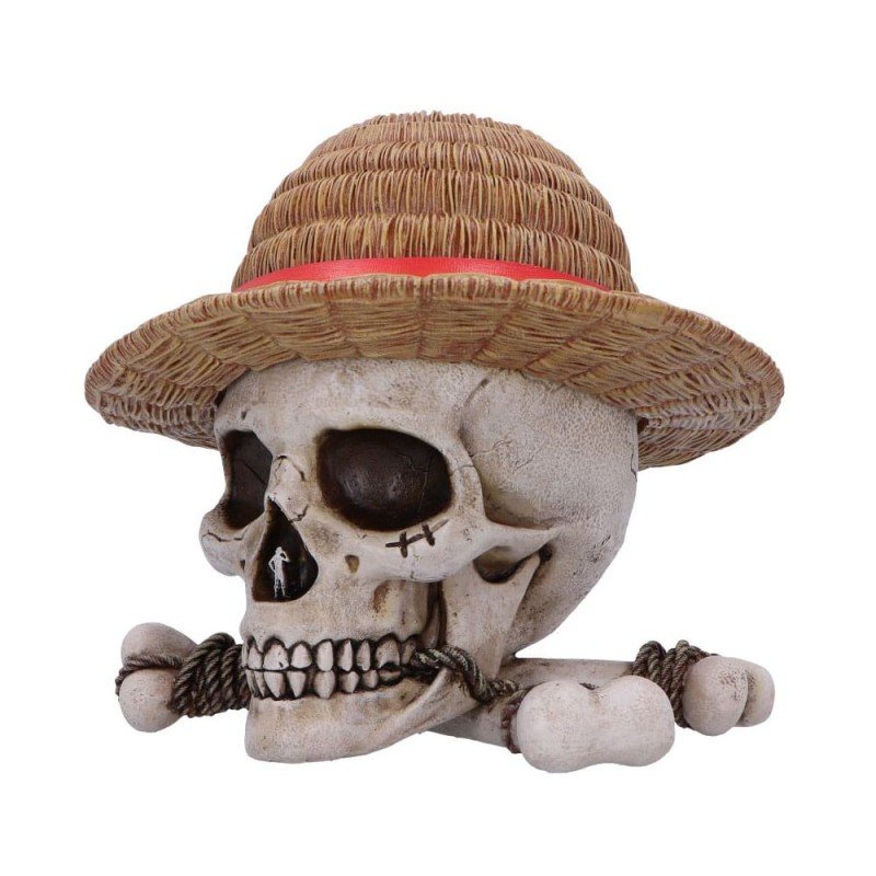One Piece boîte de rangement Luffy Jolly Roger | 0801269158538