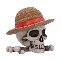 One Piece boîte de rangement Luffy Jolly Roger | 0801269158538