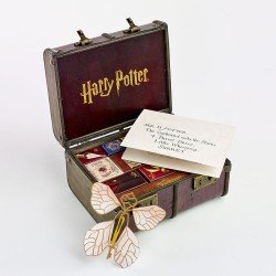 Harry Potter calendrier de l'avent bijoux & accessoires Poudlard Trunk | 5055583458019