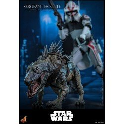 Star Wars: The Clone Wars figurine 1/6 Sergeant Hound 30 cm | 4895228623225