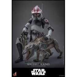 Star Wars: The Clone Wars figurine 1/6 Sergeant Hound 30 cm | 4895228623225
