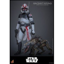 Star Wars: The Clone Wars figurine 1/6 Sergeant Hound 30 cm | 4895228623225