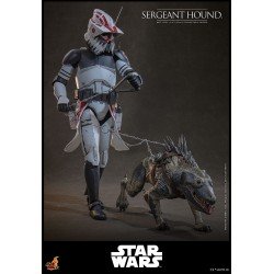 Star Wars: The Clone Wars figurine 1/6 Sergeant Hound 30 cm | 4895228623225