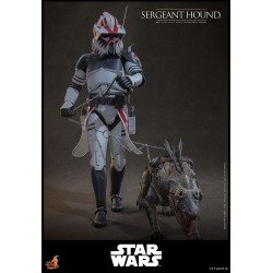 Star Wars: The Clone Wars figurine 1/6 Sergeant Hound 30 cm | 4895228623225