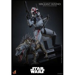 Star Wars: The Clone Wars figurine 1/6 Sergeant Hound 30 cm | 4895228623225