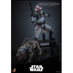 Star Wars: The Clone Wars figurine 1/6 Sergeant Hound 30 cm | 4895228623225