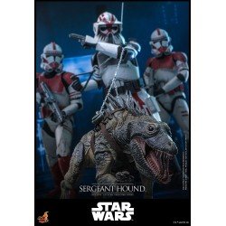 Star Wars: The Clone Wars figurine 1/6 Sergeant Hound 30 cm | 4895228623225