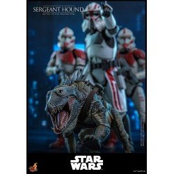 Star Wars: The Clone Wars figurine 1/6 Sergeant Hound 30 cm | 4895228623225