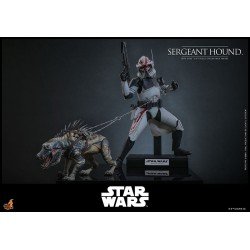 Star Wars: The Clone Wars figurine 1/6 Sergeant Hound 30 cm | 4895228623225