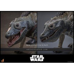 Star Wars: The Clone Wars figurine 1/6 Sergeant Hound 30 cm | 4895228623225