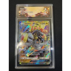 COLLECT AURA - Pokémon TCG - Ékaïser GX SM71 - Black Star Promos - 2017 FR