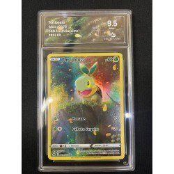 COLLECT AURA - Pokémon TCG - Tortipouss GG31/GG70 - E&B Zénith Suprême - 2023 FR