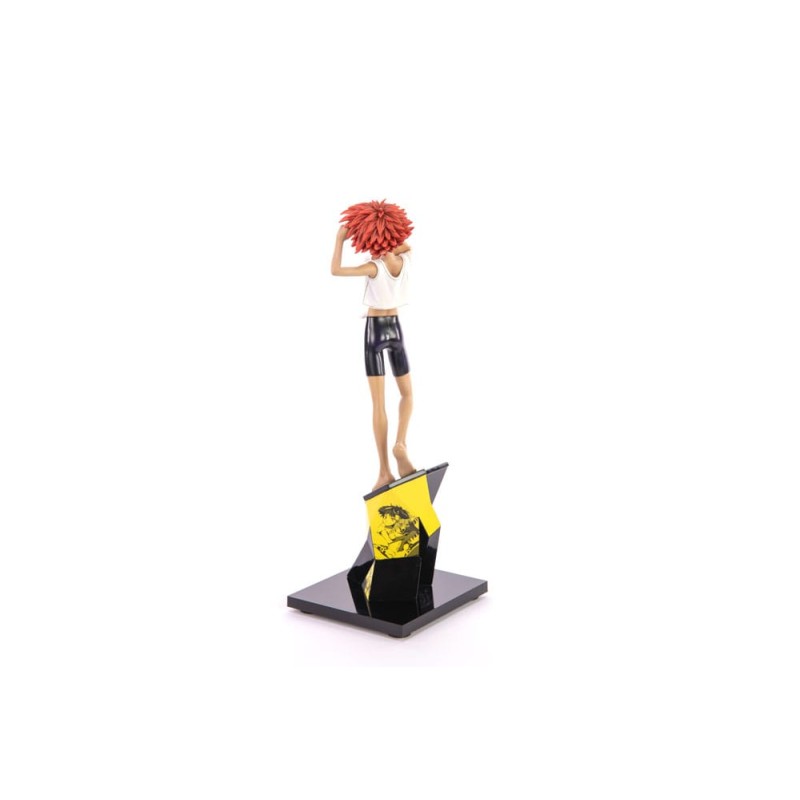Cowboy Bebop statuette 1/8 Ed & Ein 28 cm | 5060316627617