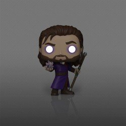 Baldur's Gate 3 assortiment POP! Games Vinyl figurines Gale with Glow Chase 9 cm (6) | 0889698883474