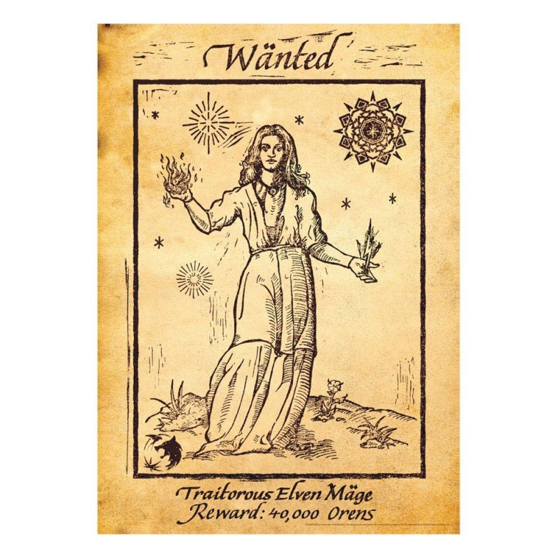 The Witcher lithographie Limited Edition 42 x 30 cm | 5060948295529