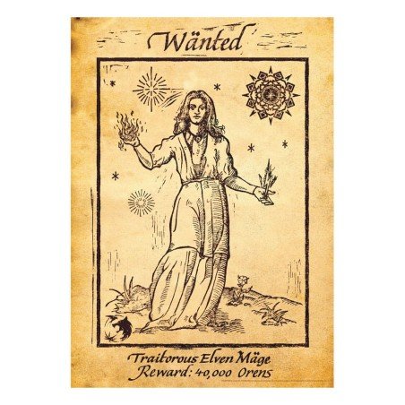 The Witcher lithographie Limited Edition 42 x 30 cm | 5060948295529