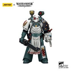 Warhammer 40,000: Sons of Horus figurine Legion Apothecary 12 cm