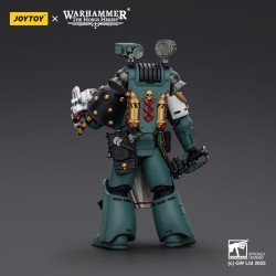 Warhammer 40,000: Sons of Horus figurine Legion Apothecary 12 cm | 6927054402465