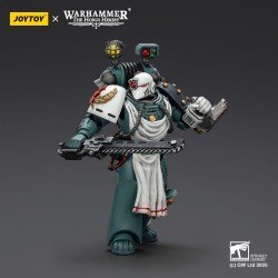 Warhammer 40,000: Sons of Horus figurine Legion Apothecary 12 cm | 6927054402465