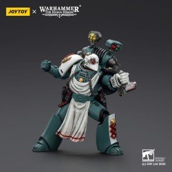 Warhammer 40,000: Sons of Horus figurine Legion Apothecary 12 cm | 6927054402465