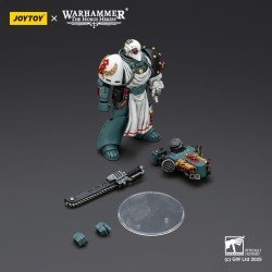 Warhammer 40,000: Sons of Horus figurine Legion Apothecary 12 cm | 6927054402465
