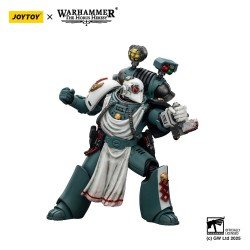 Warhammer 40,000: Sons of Horus figurine Legion Apothecary 12 cm | 6927054402465